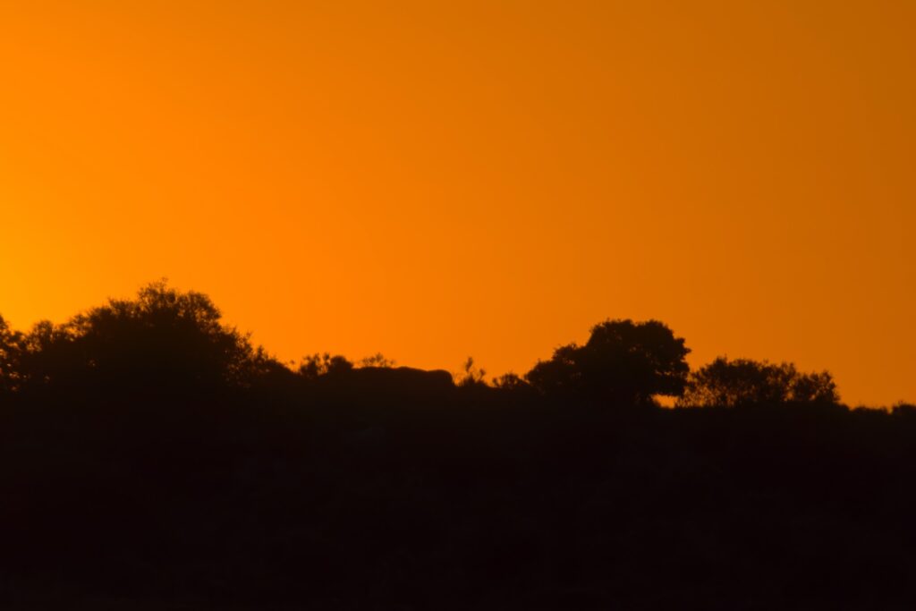Fotografiar el Amanecer 6