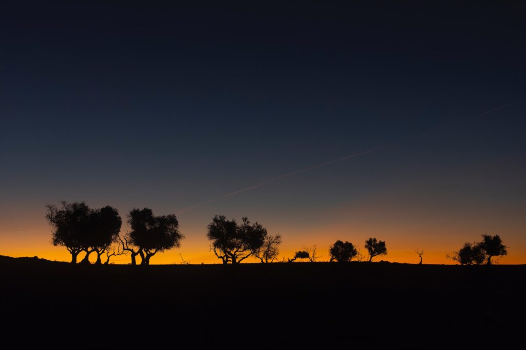 Fotografiar el Amanecer 3